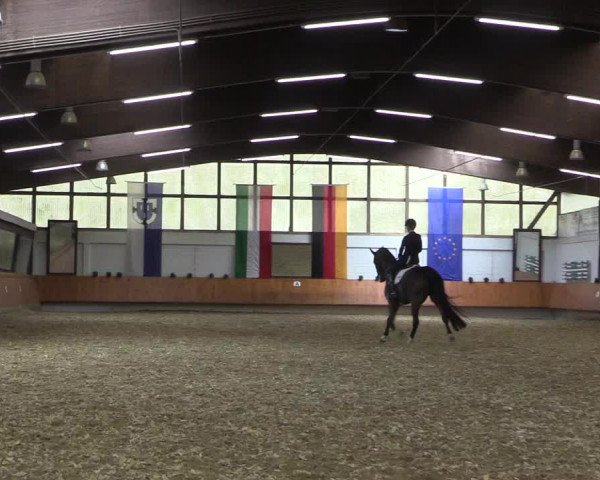Reitturnier Bottrop 2018