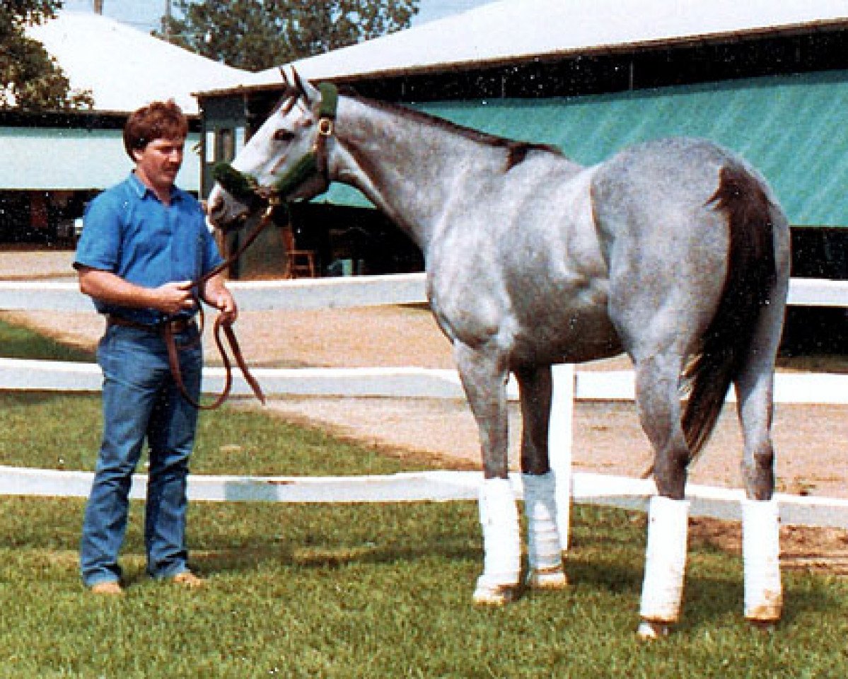 broodmare Lady's Secret xx (Thoroughbred, 1982, from Secretariat xx)