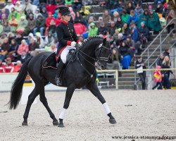 stallion Kaiserstolz 5 (Württemberger, 2010, from Kronprinz)