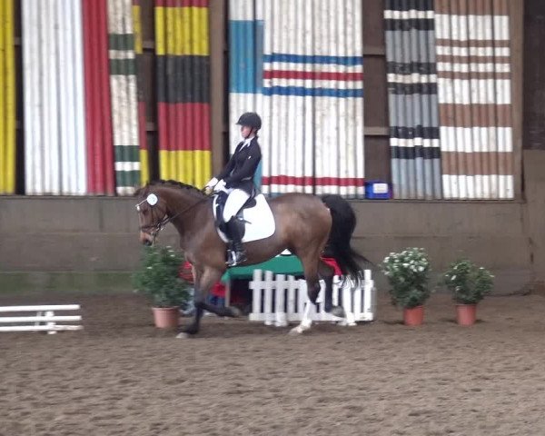 Reitturnier Hamburg-Hummelsbüttel 2018