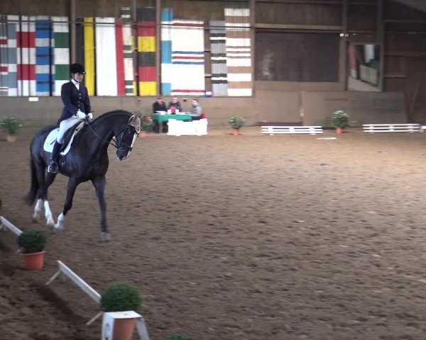 Reitturnier Hamburg-Hummelsbüttel 2018