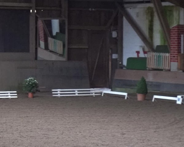 Reitturnier Hamburg-Hummelsbüttel 2018