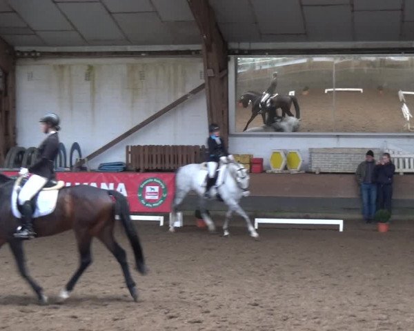 Reitturnier Hamburg-Hummelsbüttel 2018