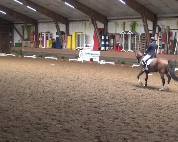 Reitturnier Hamburg-Hummelsbüttel 2018
