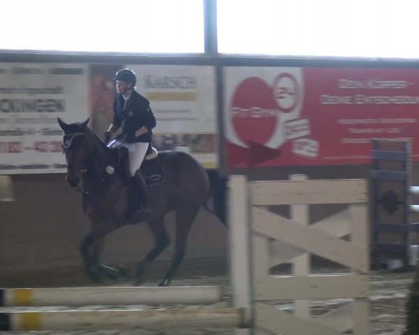 Reitturnier Jüchen-Waat 2018