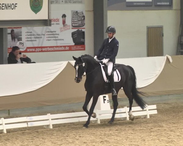 Reitturnier Saarlouis 2018