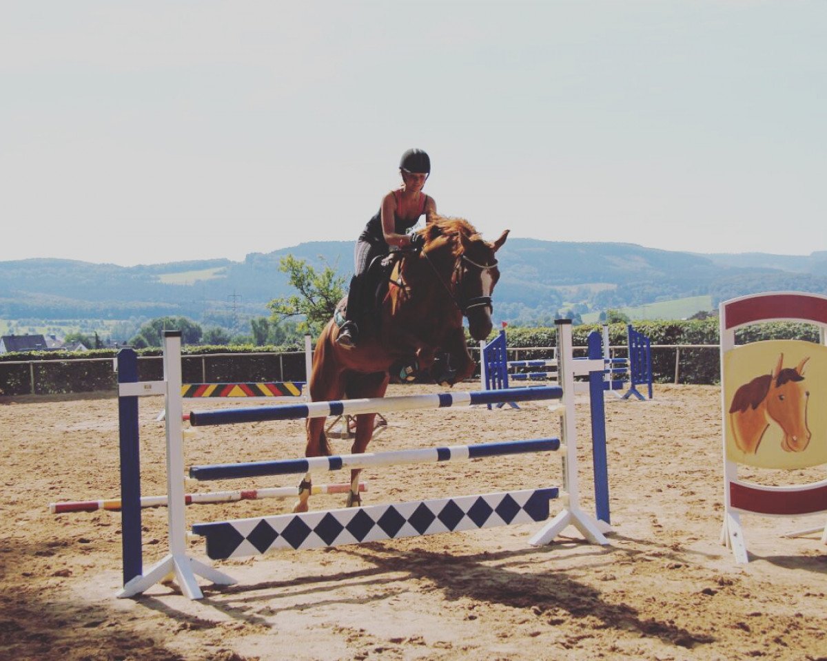 Zuchtstute Fairytale Diva (Westfale, 2007, von First Final)