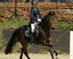 dressage horse Mc Flurry 6 (German Riding Pony, 2010, from Monaco)