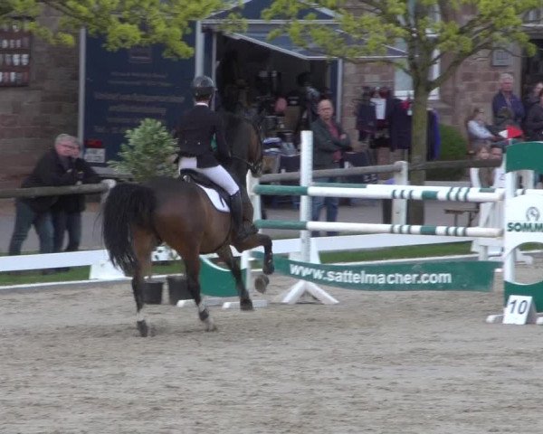 Reitturnier Zweibrücken 2018