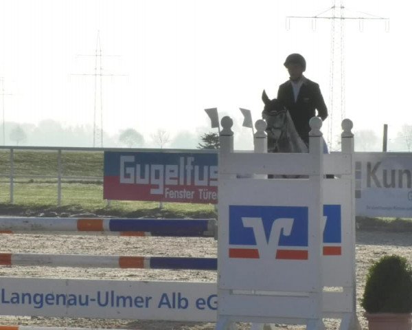 Reitturnier Langenau 2018