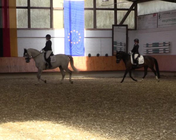 Reitturnier Bottrop 2018
