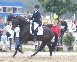 dressage horse Sarkozya 2 (Westphalian, 2010, from Sarkozy 3)