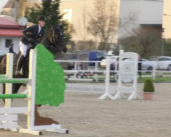 Reitturnier Langenau 2018