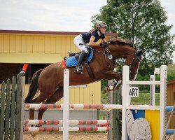 Springpferd Charmant (Holsteiner, 2008, von Clarimo Ask)