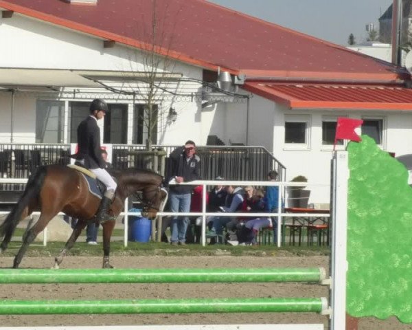 Reitturnier Langenau 2018