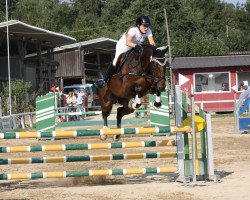 jumper Sydney H (Hanoverian, 2010, from Souvenir)