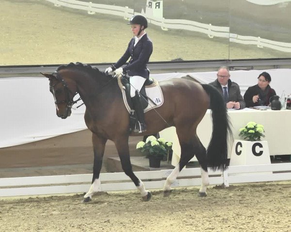 Reitturnier Saarlouis 2018