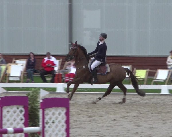 Reitturnier Zweibrücken 2018