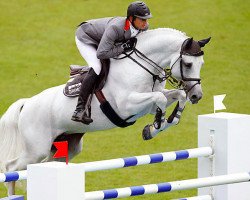 stallion Cornet Obolensky (Belgian Warmblood, 1999, from Clinton)