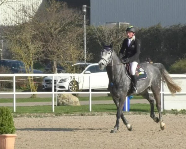 Reitturnier Langenau 2018