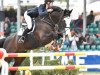 jumper Balounito (Oldenburg show jumper, 2003, from Balou du Rouet)