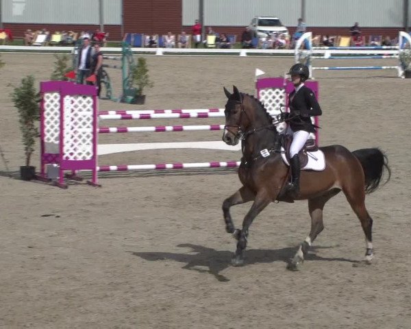 Reitturnier Zweibrücken 2018