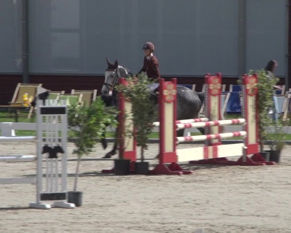 Reitturnier Zweibrücken 2018