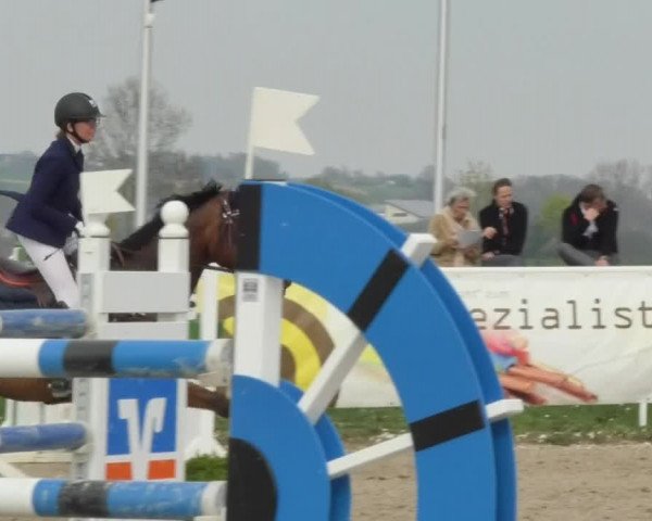 Reitturnier Langenau 2018