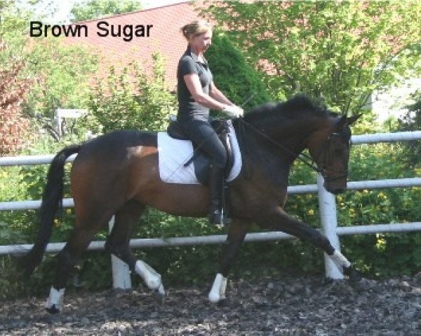 broodmare Brown Sugar (Hanoverian, 2003, from Brentano II)