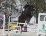 jumper Stakkatos Sally (Hanoverian, 2009, from Stakkato's Highlight)