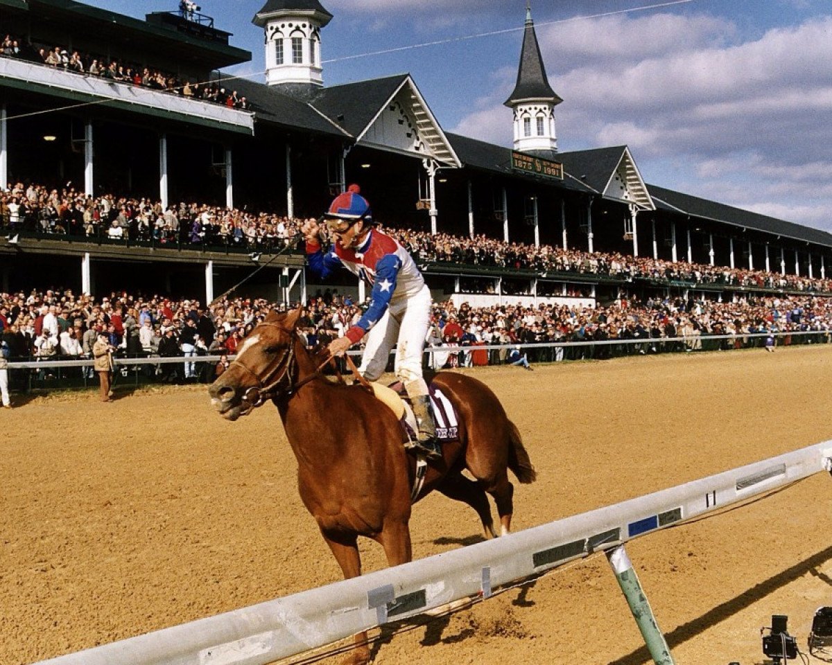 stallion Arazi xx (Thoroughbred, 1989, from Blushing Groom xx)