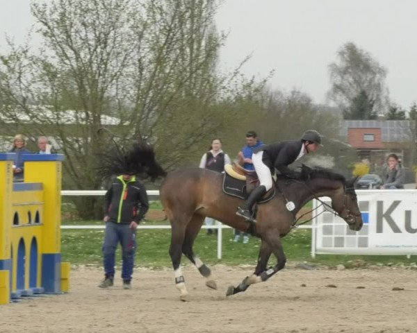 Reitturnier Langenau 2018