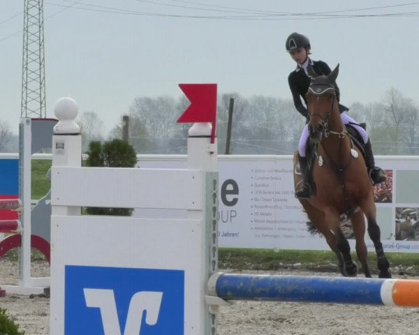 Reitturnier Langenau 2018