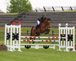 jumper Aztec de St Simeon (Selle Français, 2010, from Orlando)