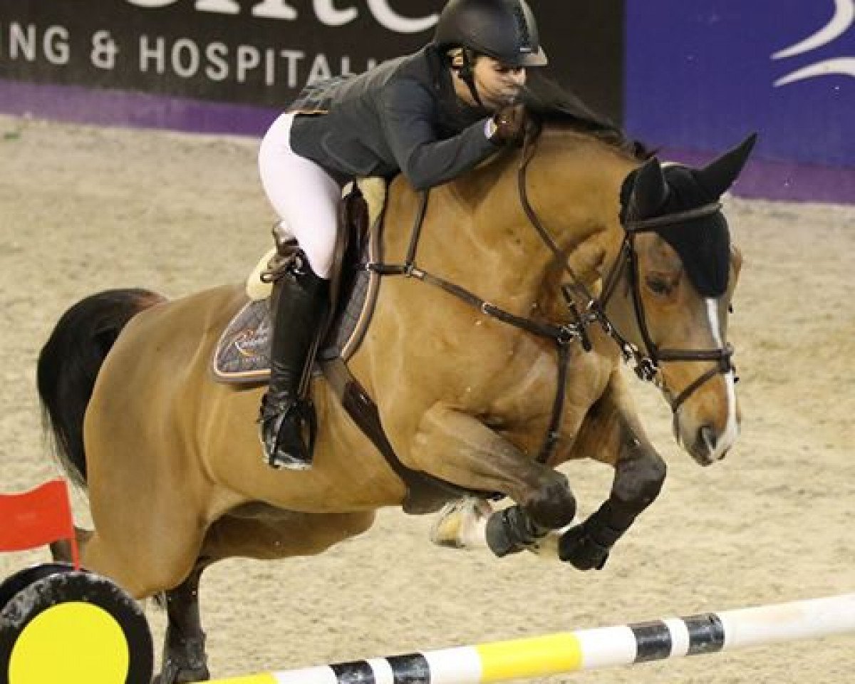 jumper Wilandro 3 (KWPN (Royal Dutch Sporthorse), 2006, from Unistar)
