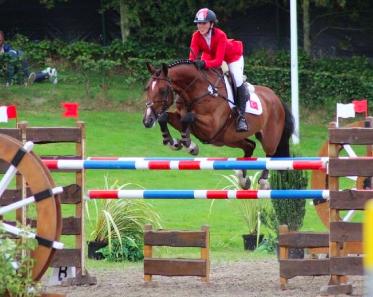jumper Atleet (KWPN (Royal Dutch Sporthorse), 2005, from Triomphe de Muze)