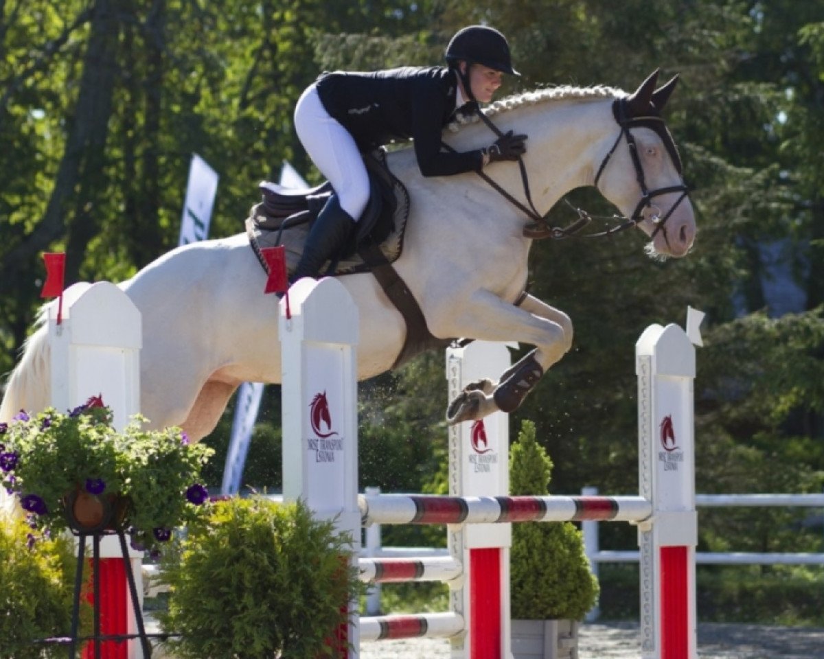 stallion Osiris (Estonian Sport, 2013, from Opaal)