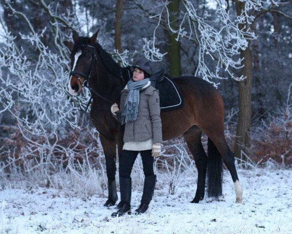 dressage horse Donau Fürst (Trakehner, 2011, from Donauzauber)