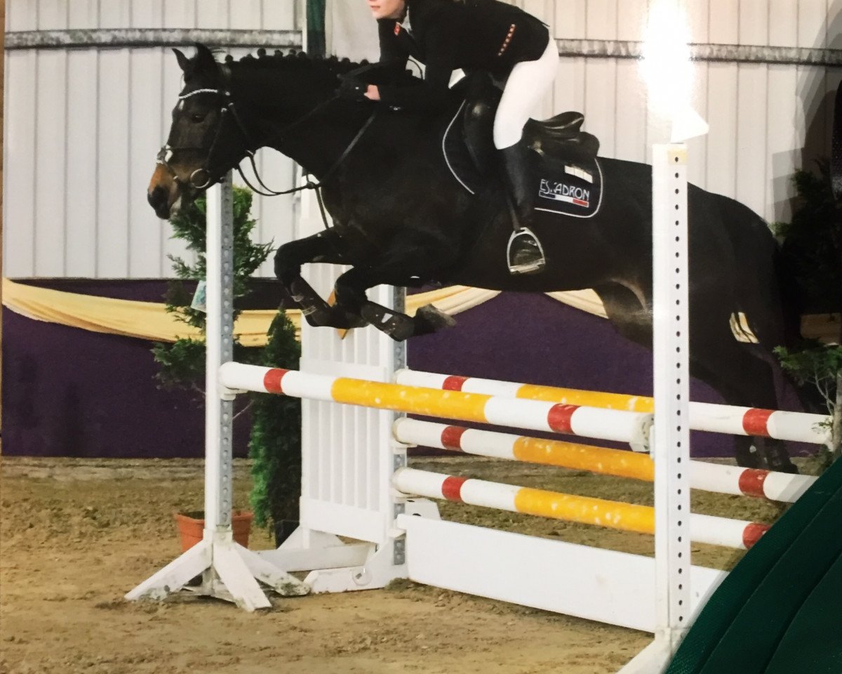 Springpferd Fleur 456 (Deutsches Reitpony, 2012, von Nadir vom Splitting WE)