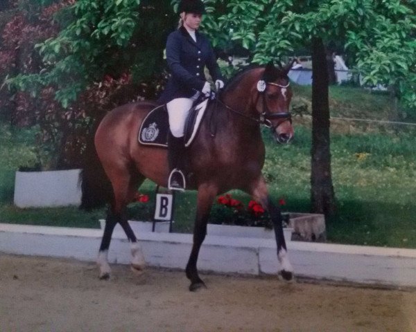 broodmare Velvet Sky 2 (German Riding Pony, 2008, from Valido's Highlight)
