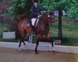 Zuchtstute Velvet Sky 2 (Deutsches Reitpony, 2008, von Valido's Highlight)