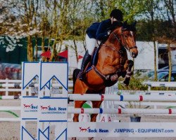 jumper Conets Granit (Oldenburg show jumper, 2009, from Cornet's Prinz)