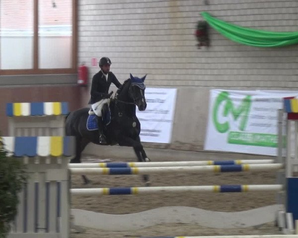 Reitturnier Leverkusen-Rheindorf 2018