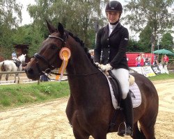 dressage horse Fürstin Piccola (Westphalian, 2009, from Fürst Piccolo)