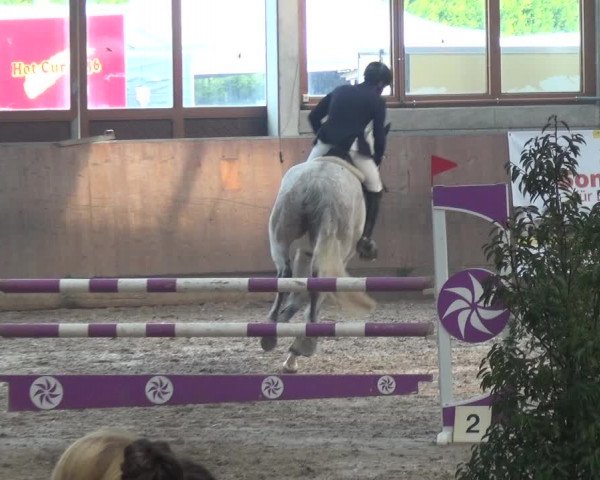 Reitturnier Leverkusen-Rheindorf 2018