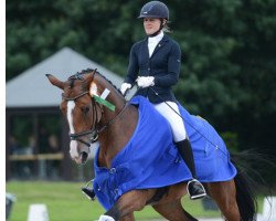 dressage horse Lassira B (Rhinelander, 2010, from Lissaro)