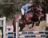 jumper Cassandra 324 (Hanoverian, 2007, from Carenzo)