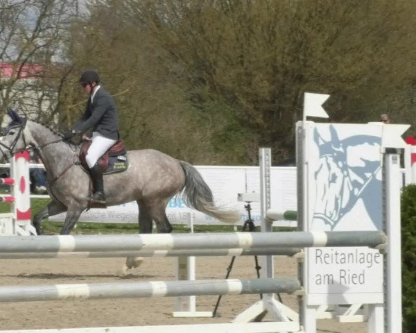 Reitturnier Langenau 2018