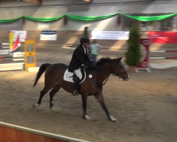 Reitturnier Leverkusen-Rheindorf 2018