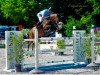 broodmare Lilly Fee 22 (Oldenburg show jumper, 2008, from Lord Z)